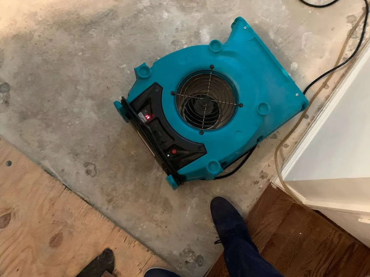 Air mover drying subfloor during Commercial Water Damage Restoration in Bellevue